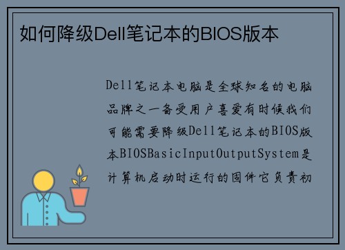 如何降级Dell笔记本的BIOS版本